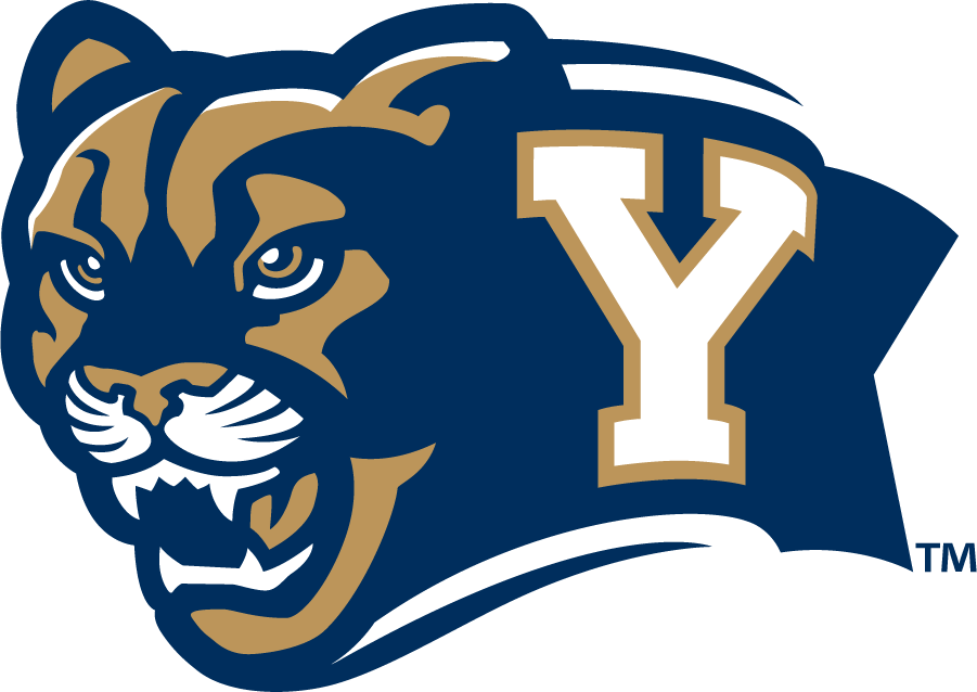 Brigham Young Cougars 2010-2014 Secondary Logo iron on transfers for clothing